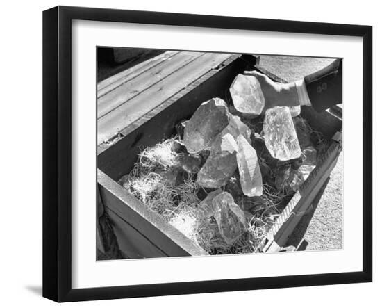 Premium Photographic Print, , large