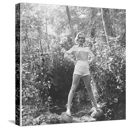 Stretched Canvas Print, , large