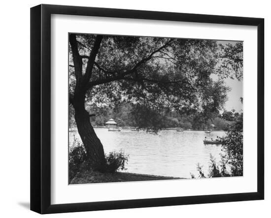 Premium Photographic Print, , large