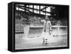 Ed Phelps, Brooklyn Dodgers, Baseball Photo - New York, NY-Lantern Press-Framed Stretched Canvas