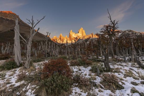 Photographic Print, , large