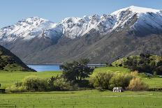 Rural scene of Lake Wanaka backed by snow capped mountains, New Zealand-Ed Rhodes-Framed Photographic Print