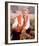 Eddie Albert - Green Acres-null-Framed Photo