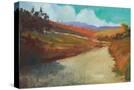 Stretched Canvas