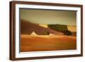 Brown Frame