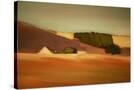 Stretched Canvas