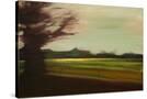 Stretched Canvas