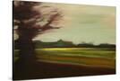 Stretched Canvas