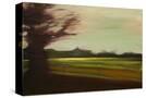 Stretched Canvas