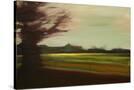 Stretched Canvas