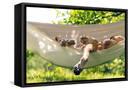 Framed Canvas