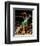 Eddie House, Game 4 of the 2008 NBA Finals-null-Framed Photographic Print