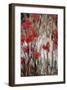 Eddie-Crystal Heath-Framed Giclee Print