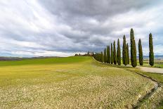 Idyllic Tuscan Landscape with Cypress Alley near Pienza, Val D'orcia, Italy-eddygaleotti-Framed Stretched Canvas