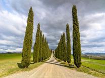 Idyllic Tuscan Landscape with Cypress Alley near Pienza, Val D'orcia, Italy-eddygaleotti-Photographic Print