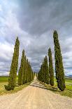 Idyllic Tuscan Landscape with Cypress Alley near Pienza, Val D'orcia, Italy-eddygaleotti-Laminated Photographic Print