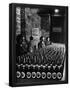 Essential Black