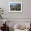 Edelweiss And Glacier-Dr. Juerg Alean-Framed Photographic Print displayed on a wall