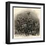 Edelweiss (Leontopodium Alpinum)-null-Framed Art Print