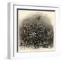 Edelweiss (Leontopodium Alpinum)-null-Framed Art Print