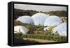 Eden Project Biomes-null-Framed Stretched Canvas