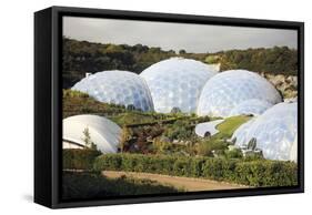 Eden Project Biomes-null-Framed Stretched Canvas