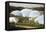 Eden Project Biomes-null-Framed Stretched Canvas