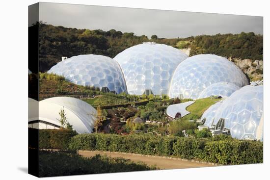 Eden Project Biomes-null-Stretched Canvas