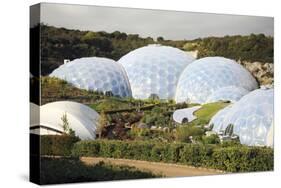 Eden Project Biomes-null-Stretched Canvas