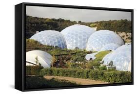 Eden Project Biomes-null-Framed Stretched Canvas