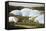 Eden Project Biomes-null-Framed Stretched Canvas