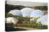 Eden Project Biomes-null-Stretched Canvas