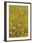 Eden Project-Guido Cozzi-Framed Photographic Print
