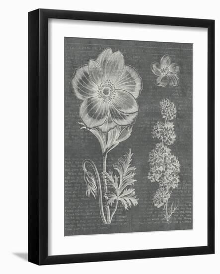 Eden Spring I Gray-Hugo Wild-Framed Art Print