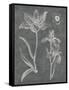 Eden Spring II Gray-Hugo Wild-Framed Stretched Canvas
