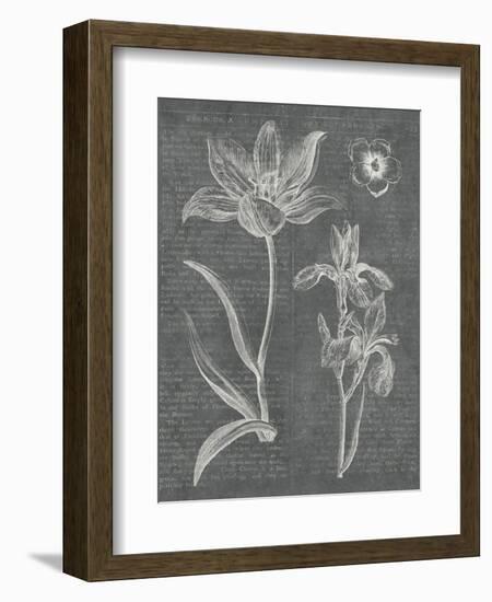 Eden Spring II Gray-Hugo Wild-Framed Art Print