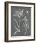 Eden Spring II Gray-Hugo Wild-Framed Art Print