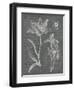 Eden Spring II Gray-Hugo Wild-Framed Art Print