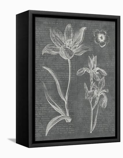 Eden Spring II Gray-Hugo Wild-Framed Stretched Canvas