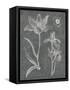 Eden Spring II Gray-Hugo Wild-Framed Stretched Canvas