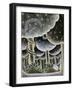 Eden, The First Exodus, 1989-Celia Washington-Framed Giclee Print