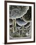 Eden, The First Exodus, 1989-Celia Washington-Framed Giclee Print