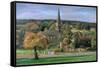 Edensor, Chatsworth Park, Derbyshire, 2009-Trevor Neal-Framed Stretched Canvas