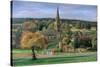 Edensor, Chatsworth Park, Derbyshire, 2009-Trevor Neal-Stretched Canvas