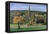 Edensor, Chatsworth Park, Derbyshire, 2009-Trevor Neal-Framed Stretched Canvas