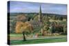 Edensor, Chatsworth Park, Derbyshire, 2009-Trevor Neal-Stretched Canvas