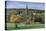 Edensor, Chatsworth Park, Derbyshire, 2009-Trevor Neal-Stretched Canvas