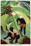 Borneo Sago, from the Series 'Buy from the Empire's Gardens', 1930-Edgar Ainsworth-Framed Giclee Print