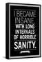 Edgar Allan Poe Horrible Sanity Quote-null-Framed Stretched Canvas
