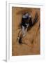 Edgar Degas Jockey Forward Flexed Standing in the Saddle-null-Framed Art Print